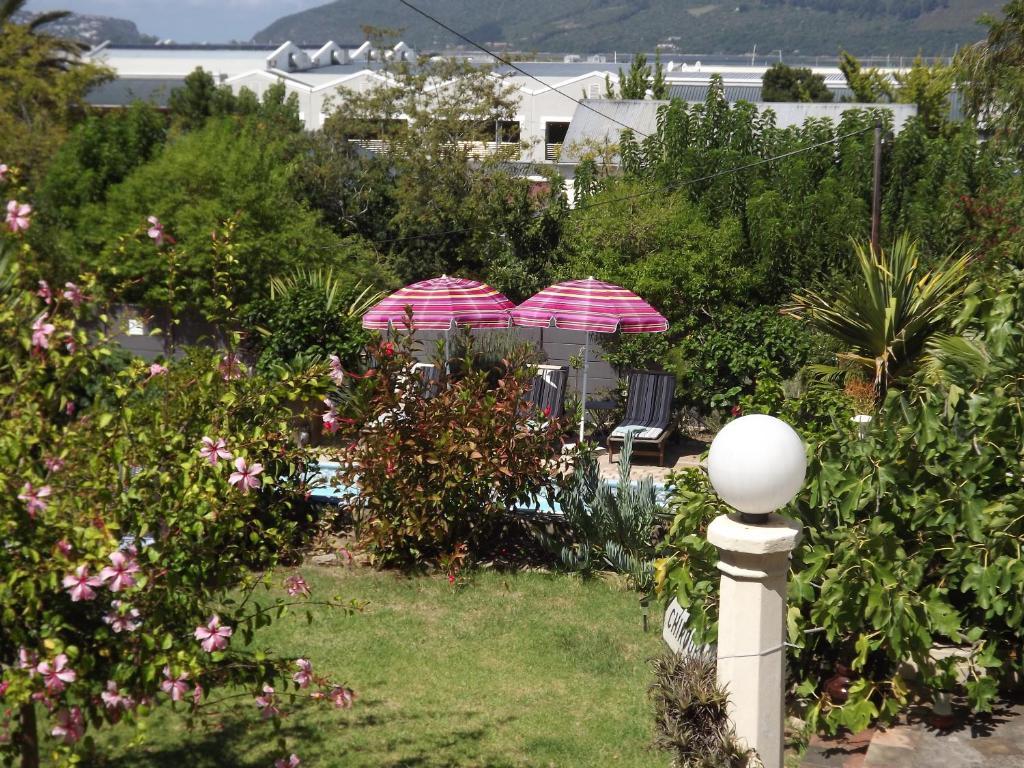 Aestas Bed & Breakfast Knysna Rom bilde
